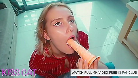 Mocha blackt longhaired miserable feast